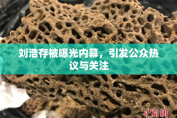 刘浩存被曝光内幕，引发公众热议与关注