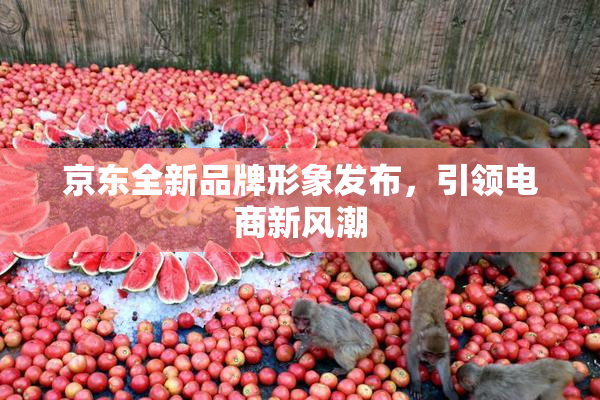 京东全新品牌形象发布，引领电商新风潮