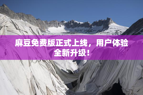 麻豆免费版正式上线，用户体验全新升级！