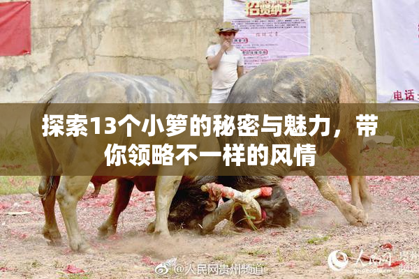 探索13个小箩的秘密与魅力，带你领略不一样的风情