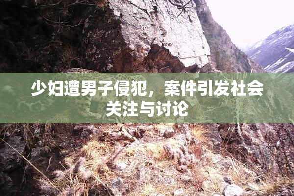少妇遭男子侵犯，案件引发社会关注与讨论