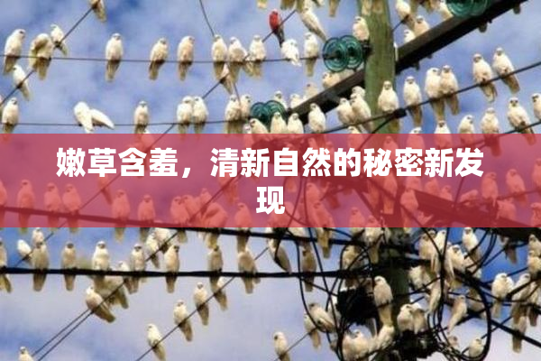 嫩草含羞，清新自然的秘密新发现