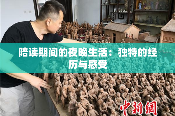陪读期间的夜晚生活：独特的经历与感受