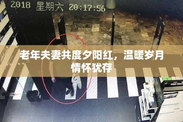 老年夫妻共度夕阳红，温暖岁月情怀犹存