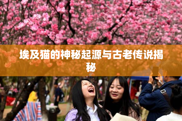 埃及猫的神秘起源与古老传说揭秘