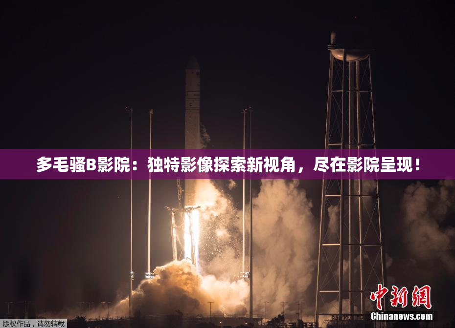 多毛骚B影院：独特影像探索新视角，尽在影院呈现！