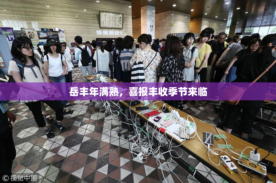 岳丰年满熟，喜报丰收季节来临