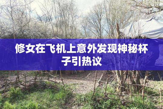 修女在飞机上意外发现神秘杯子引热议