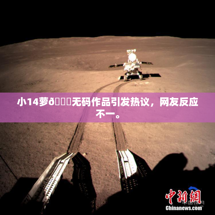 小14萝🔞无码作品引发热议，网友反应不一。