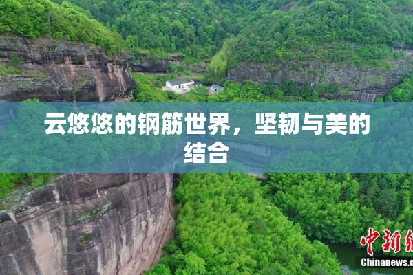 云悠悠的钢筋世界，坚韧与美的结合