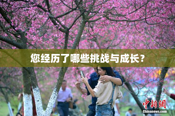 您经历了哪些挑战与成长？