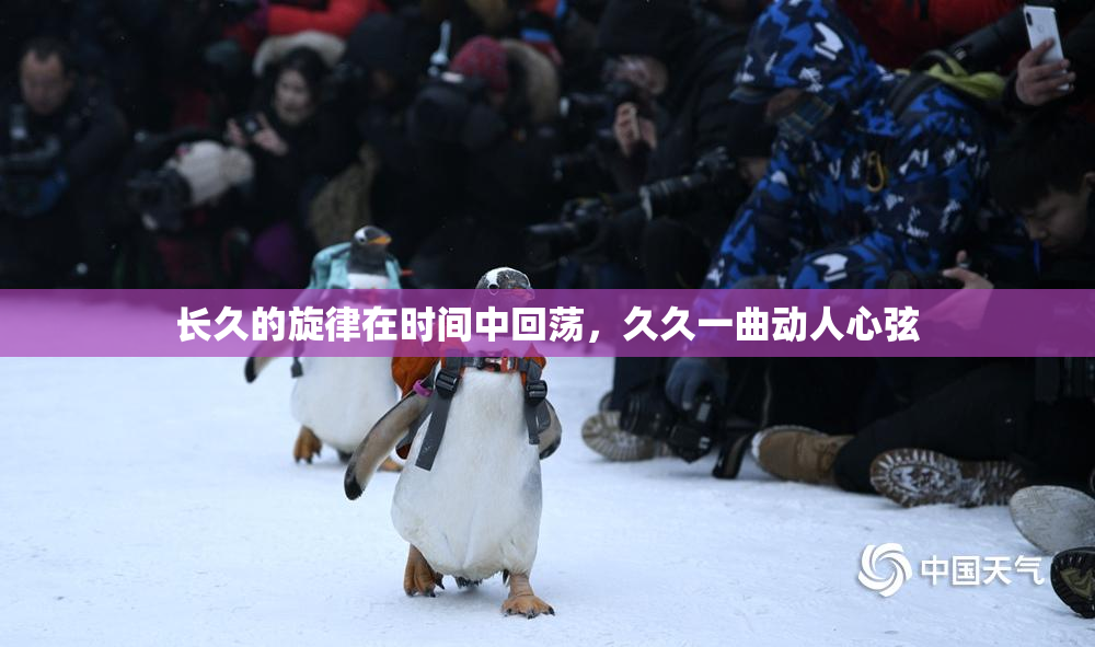 长久的旋律在时间中回荡，久久一曲动人心弦