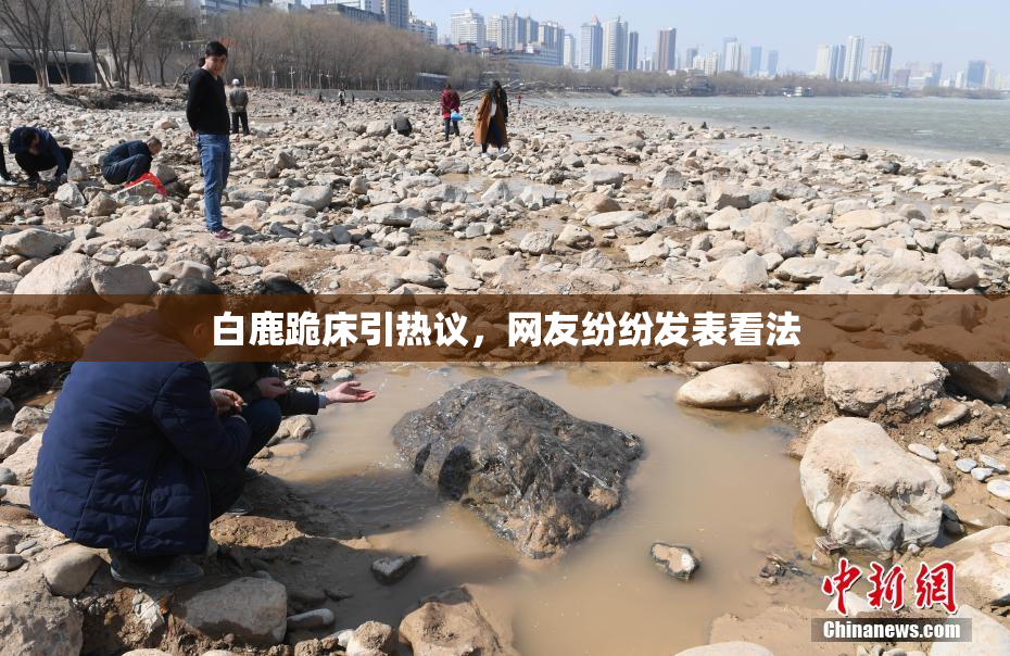 白鹿跪床引热议，网友纷纷发表看法