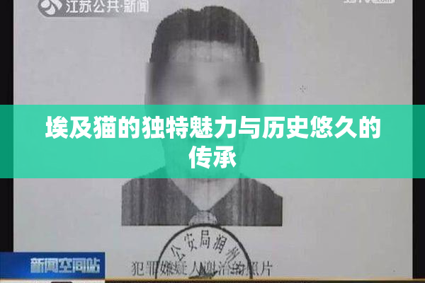 埃及猫的独特魅力与历史悠久的传承