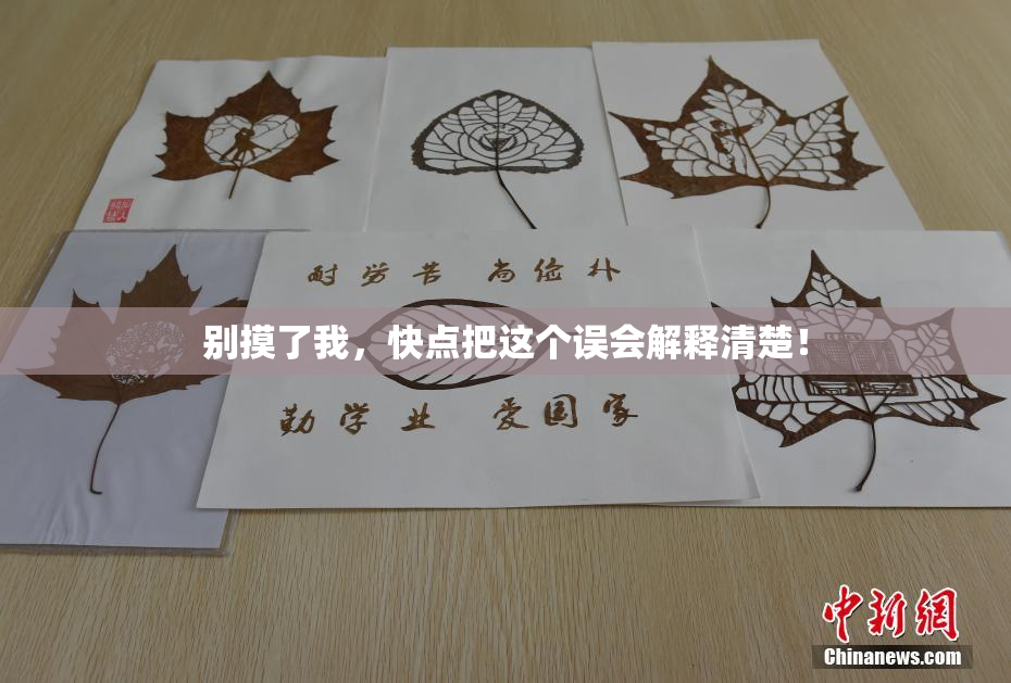 别摸了我，快点把这个误会解释清楚！