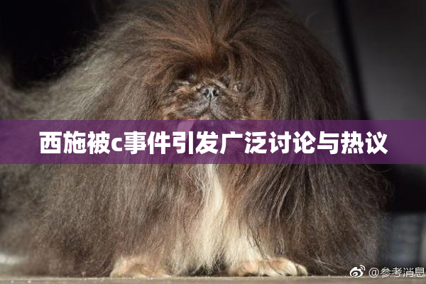 西施被c事件引发广泛讨论与热议