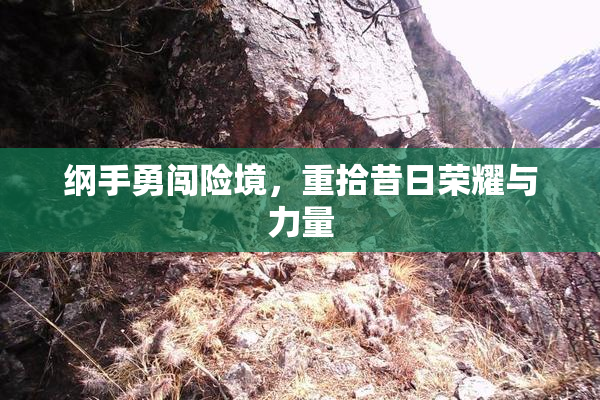纲手勇闯险境，重拾昔日荣耀与力量