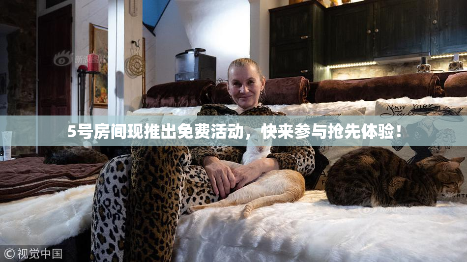 5号房间现推出免费活动，快来参与抢先体验！