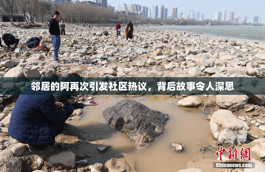 邻居的阿再次引发社区热议，背后故事令人深思