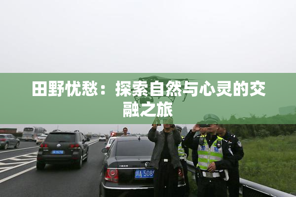 田野忧愁：探索自然与心灵的交融之旅