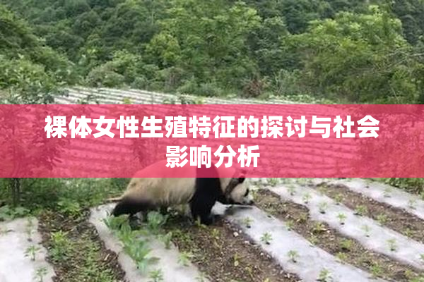 裸体女性生殖特征的探讨与社会影响分析