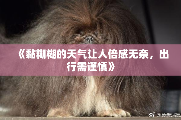 《黏糊糊的天气让人倍感无奈，出行需谨慎》
