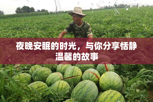 夜晚安眠的时光，与你分享恬静温馨的故事