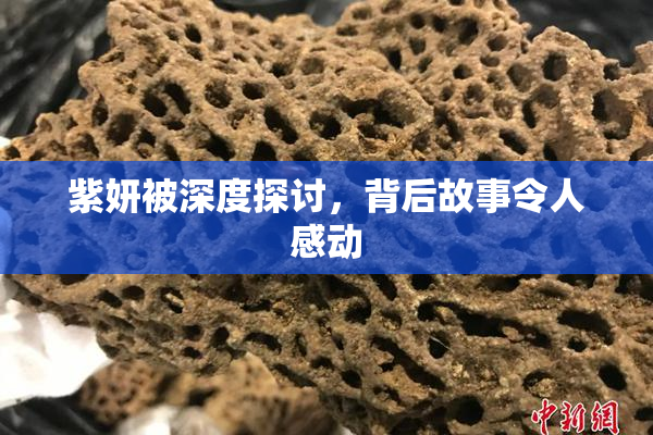 紫妍被深度探讨，背后故事令人感动