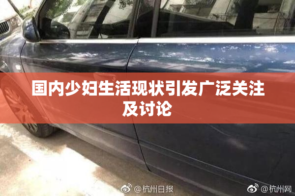 国内少妇生活现状引发广泛关注及讨论
