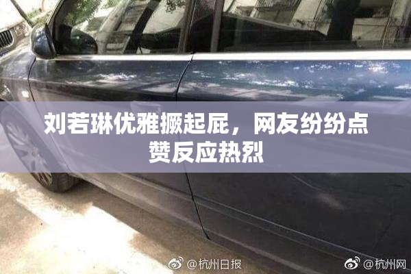 刘若琳优雅撅起屁，网友纷纷点赞反应热烈