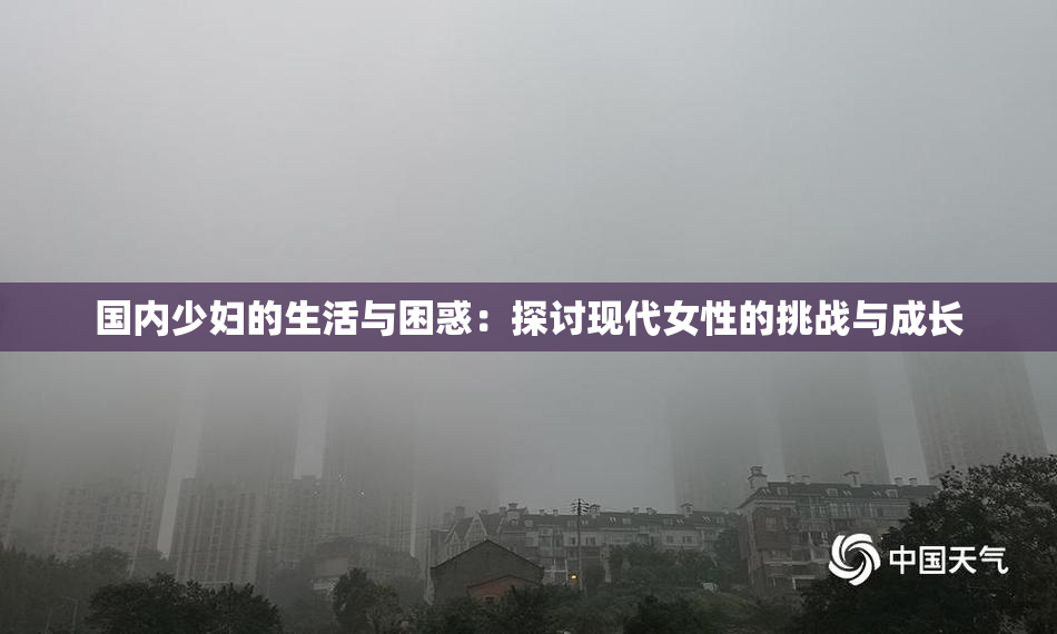 国内少妇的生活与困惑：探讨现代女性的挑战与成长