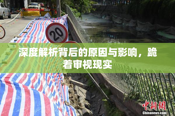 深度解析背后的原因与影响，跪着审视现实