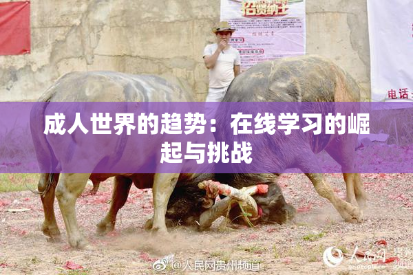 成人世界的趋势：在线学习的崛起与挑战