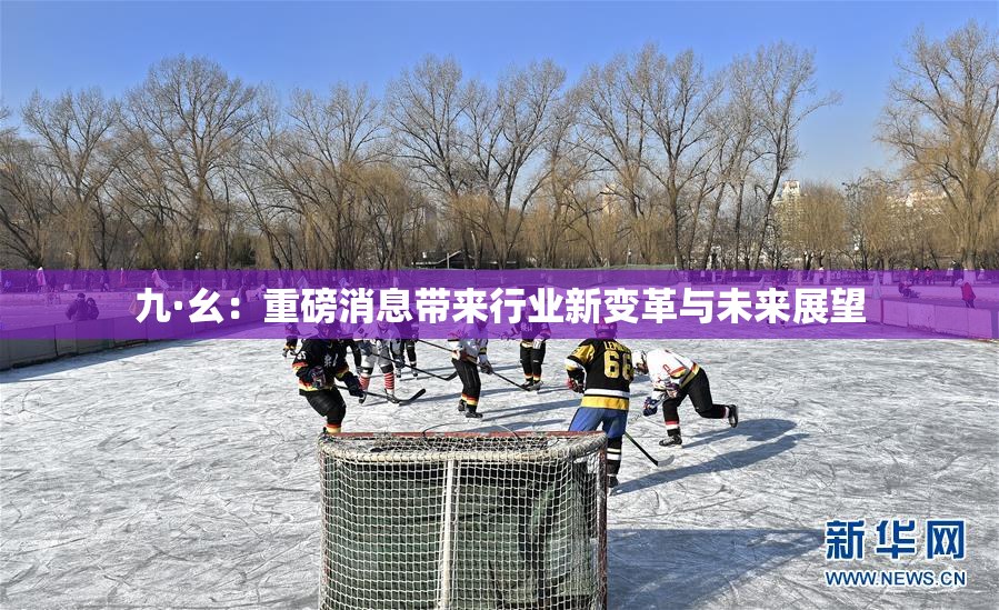 九·幺：重磅消息带来行业新变革与未来展望