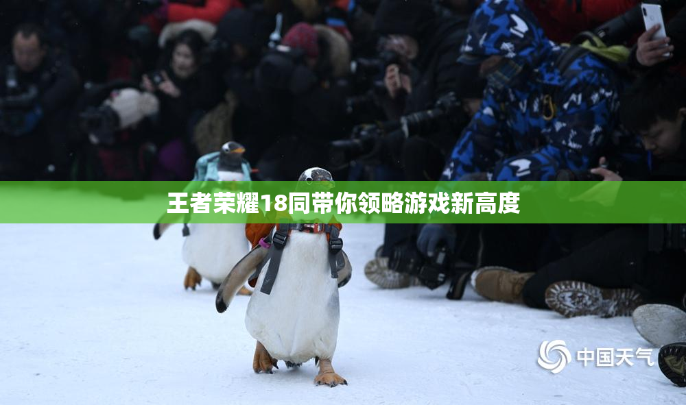 王者荣耀18同带你领略游戏新高度