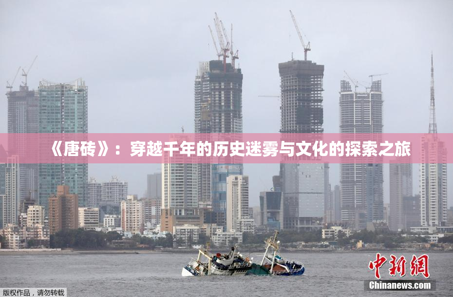 《唐砖》：穿越千年的历史迷雾与文化的探索之旅