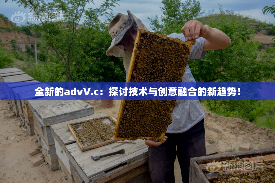全新的advV.c：探讨技术与创意融合的新趋势！