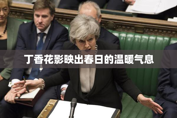 丁香花影映出春日的温暖气息