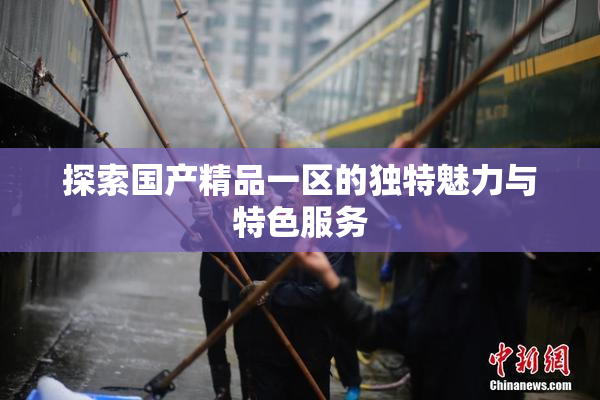 探索国产精品一区的独特魅力与特色服务