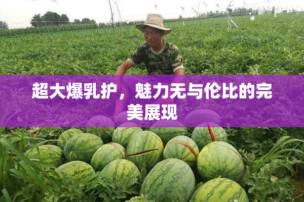 超大爆乳护，魅力无与伦比的完美展现