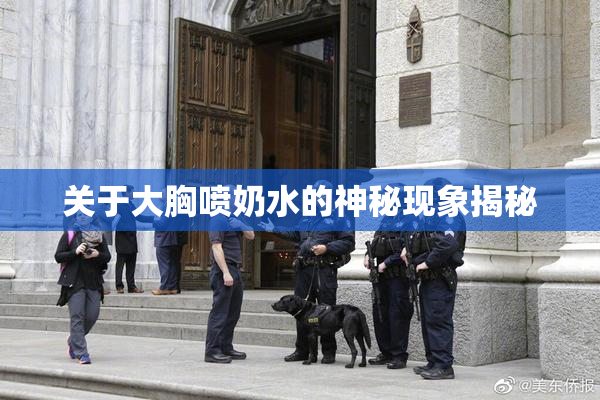 关于大胸喷奶水的神秘现象揭秘