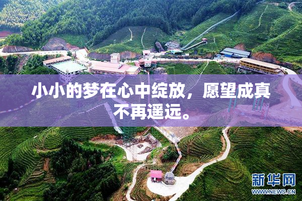 小小的梦在心中绽放，愿望成真不再遥远。
