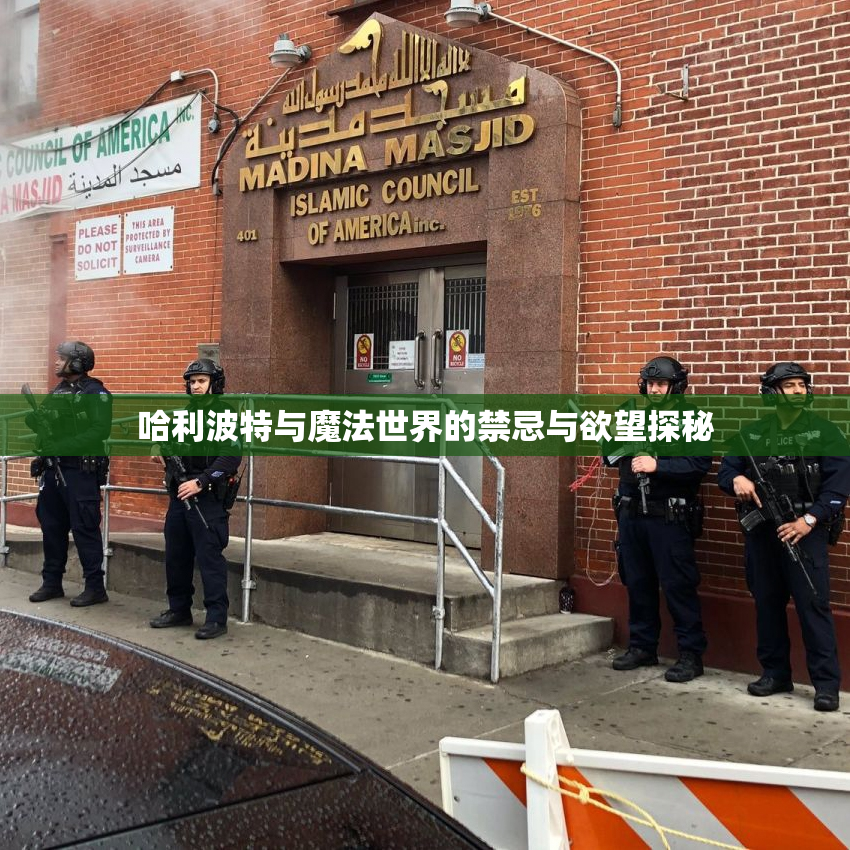 哈利波特与魔法世界的禁忌与欲望探秘