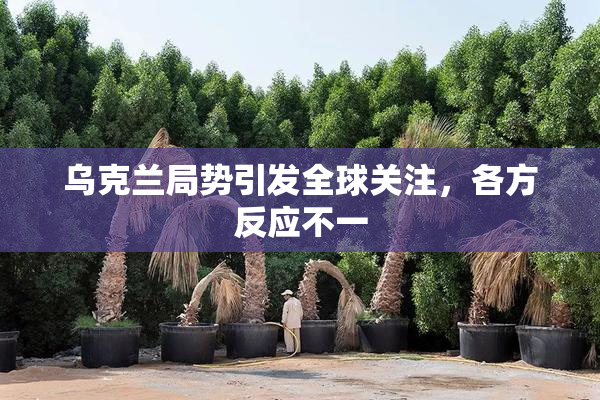 乌克兰局势引发全球关注，各方反应不一