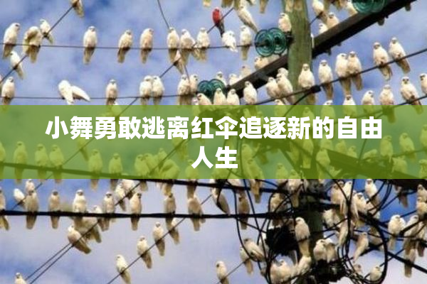 小舞勇敢逃离红伞追逐新的自由人生