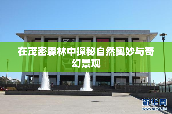 在茂密森林中探秘自然奥妙与奇幻景观
