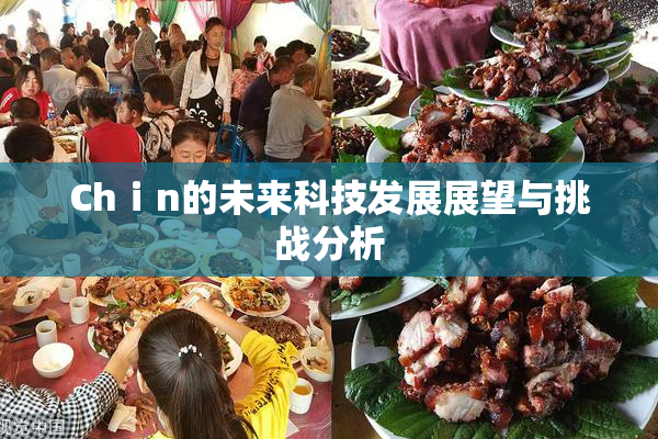 Chⅰn的未来科技发展展望与挑战分析