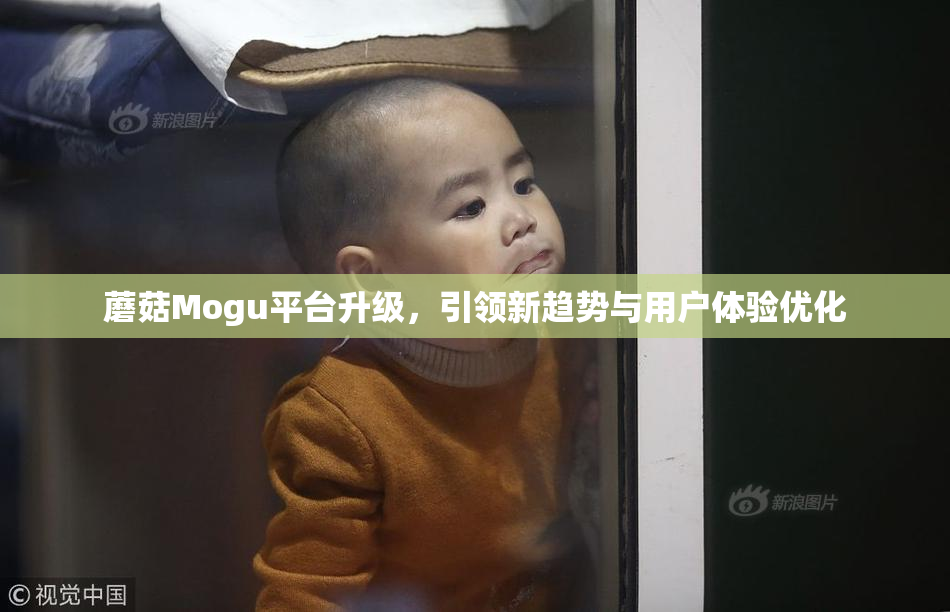 蘑菇Mogu平台升级，引领新趋势与用户体验优化