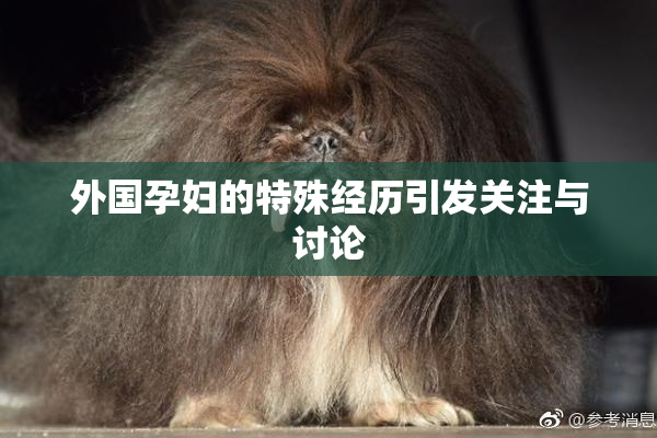 外国孕妇的特殊经历引发关注与讨论