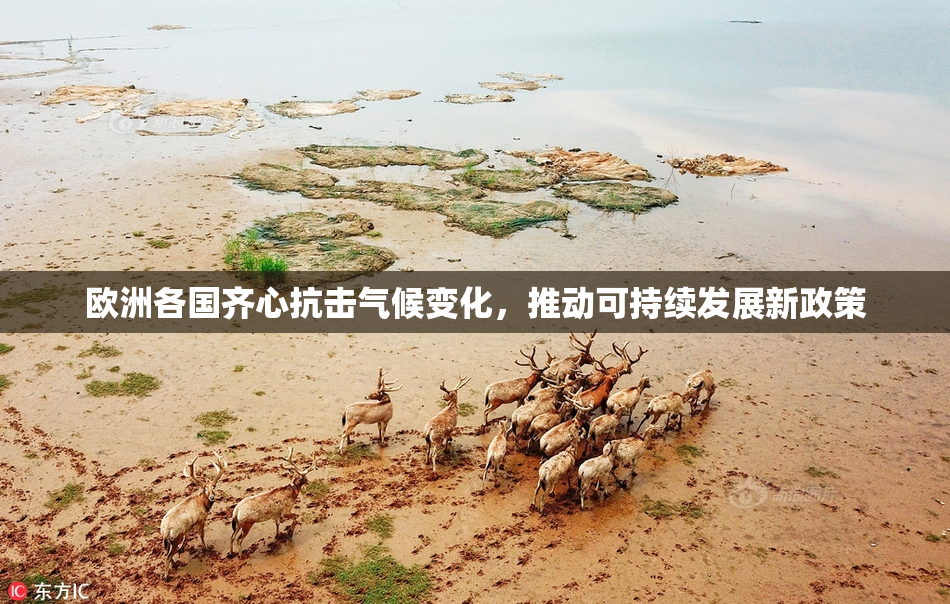 欧洲各国齐心抗击气候变化，推动可持续发展新政策